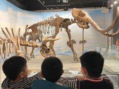 -辽宁古生物博物馆