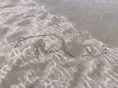 -嵊泗基湖沙滩
