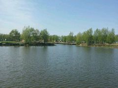 -白渔泡湿地公园