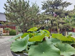 -天津市峰山药王古寺