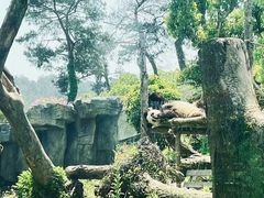 -宁波野生动物园