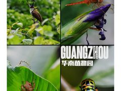 -中国科学院华南植物园