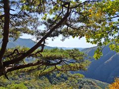 -五女峰国家森林公园