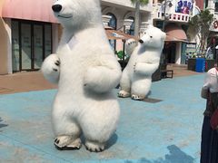 -芜湖新华联大白鲸海洋公园