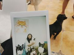 -Let's go狗咖·猫咖·奶狗·桌游(春熙路IFS店)