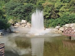 -北京西山国家森林公园