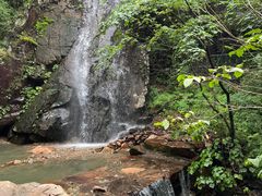 -本溪汤沟绿石谷森林公园