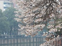 -红星桥(地铁站)