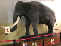 -国家自然博物馆