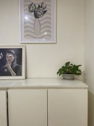 -SILKTONE诗丽堂美容