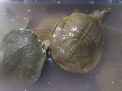 -锦绣大地批发市场-B座