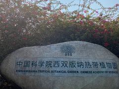 -中国科学院西双版纳热带植物园