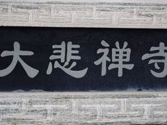 -天津大悲禅院