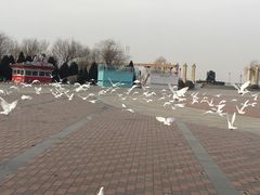 -泰达航母主题公园