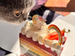 -85度C(北京八角物美店)