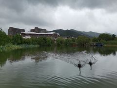 -长兴太湖图影湿地文化园