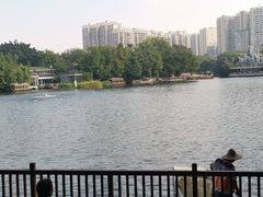 -荔湾湖公园