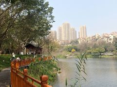 -重庆彩云湖湿地公园