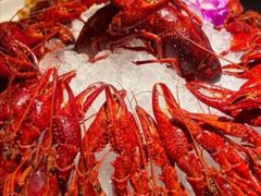 -京悦南门涮羊肉·羊蝎子火锅(田林路店)
