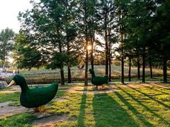 -羊亭河湿地公园