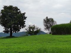 -良渚古城遗址公园