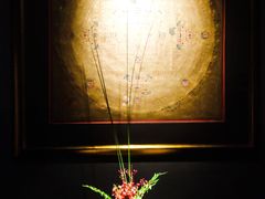 -觀芷隐轩