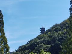 -黄贤森林公园