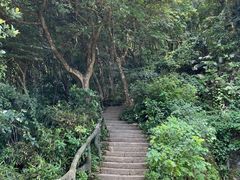 -梧桐山风景名胜区