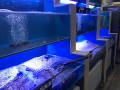 水产区-老虎滩大连海鲜烧烤(建邺云锦路总店)