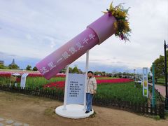 -荷兰花海