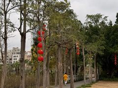 -中澳友谊花园