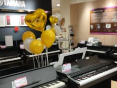 -雅歌音乐培训中心·钢琴培训·乐器培训(交道口店)
