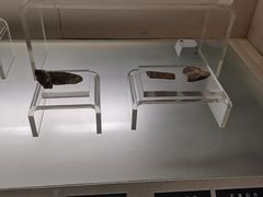 -旅顺博物馆