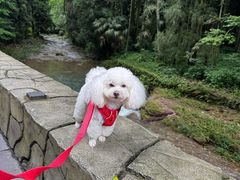 -唐师傅湘西名菜馆(武陵路店)