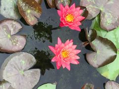 -国家植物园南园