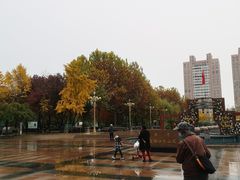 -西清公园
