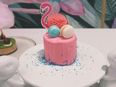 火烈鸟-随心小姐