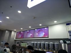 -雾与山茶(大禹城店)