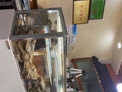 -清真·舒迩布炕锅王·高原美食文化(青海总店)