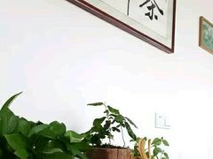 -龙湖东院农庄(乡间小路店)