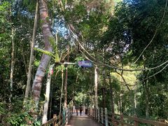 -野象谷景区