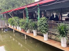 -老杨砂锅鱼庄