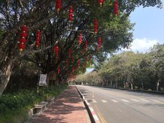 -广州莲花山旅游区