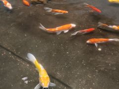 -大和洗浴休闲会所(宏大广场店)