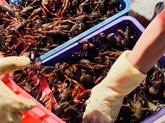 -小李子油焖大虾向阳总店