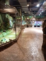 -宝燕乐园(闵行旗舰店)