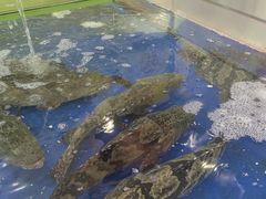 -东江海鲜酒家(艺都分店)