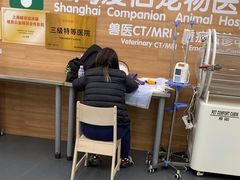 -爱侣宠医·鹦鹉专科·小型哺乳类·异宠专科(灵石路店)