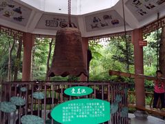 -江湾神木园