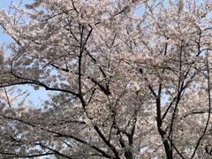 -西湖文化广场
